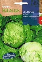 Semilla Profesional Lechuga Grandes Lagos Seleccion Dex Semilla Profesional Lechuga Grandes Lagos Seleccion Dex