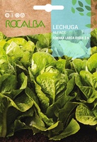 Semilla Lechuga Romana Larga Rubia