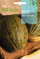Semilla Melon Pi�olet Piel de Sapo