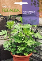 Semilla Artemisa