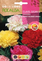 Semilla Clavel Gigante Mejorado, Variado