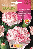 Semilla Claves Gigante Mejorado Blanco Estr. Rojo