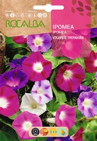 Semilla Ipomea Volubilis Variada