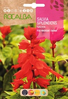 Semilla Salvia Splendens Feu Magique Enana