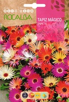 Semilla Tapiz Magico Ficoide Criniflorum