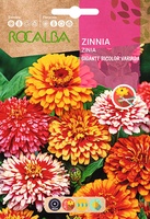 Semilla Zinia Gigante Bicolor Variada