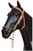 Cabezada Asturiana Nylon Full