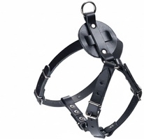 Arnes Cuero Sillero Chapon