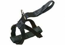 Arnes T Seguridad Automatico 30/70 cm.