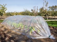 Mini Invernadero Tunel Acordeon 0,60x0,45x3mt