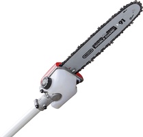 Cabezal Podadora Anova D226 10''