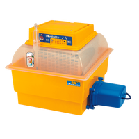 Incubadora Automatica Covattuto 24 Eco