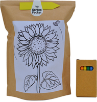 Kit de Cultivo Ni�os Educo Girasol