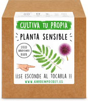 Kit Brotes Pocket Planta Sensible
