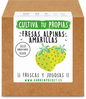 Kit Brotes Pocket Fresas Amarillas