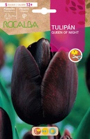 Bulbo Tulipanes Calibre 12+ Queen Of Night -negro