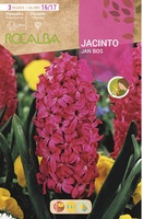 Bulbo Jacinto Jan Bos Rojo Intenso