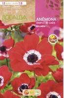 Bulbo Anemonas Simples de Caen 7/8 Hollandia -rojo