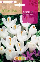 Bulbo azafran  Crocus 8/9 Jeanne Darc -blanco y Lila