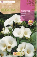 Bulbo Freesias Simples 5+ Blanco