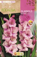 Bulbo Gladiolos 12/14 Deciso Rosa