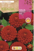 Bulbo Dalia Pompon Salsa Rojo Vivo