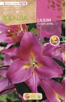Bulbos Liliums 16/18 Sugar Jewel Rosa Fuerte