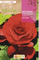 Bulbo Begonias Dobles Flor de Camelia Rojo Oscuro