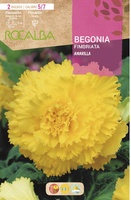 Bulbo Begonias Fimbriata Amarillo Bulbo Begonias Fimbriata Amarillo