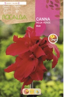 Bulbo Cannas Rojo