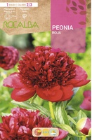 Bulbos Peonias Rojo