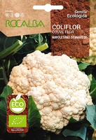 Semilla Ecologica Coliflor Napoletano Gennarese