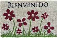Felpudo Coco Fun Bienvenido 40x60cm.