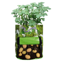 Sembradora de Patatas Terraza Sembradora de Patatas Terraza