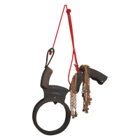 Columpio Caballo Neumatico