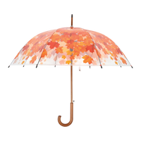 Paraguas Oto�o