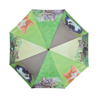 Paraguas Gatos Paraguas Gatos