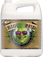 Advanced Nutrients Big Bud Coco Liquid 4 Litros