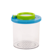 Caja de Estudio de Insectos con Lupa