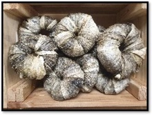 Donuts Piel Pescado 8cm