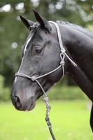 Cabezada Caballos nudos Cob Navy/beige
