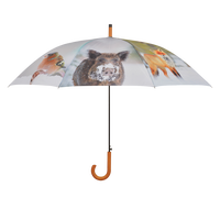 Paraguas Dise�o Invernal