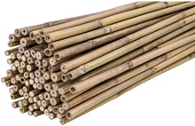 Pack 200 Tutores Bambu 150 cm Grosor 10-12mm 