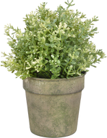 Maceta Metal Vintage Envejecido Verde