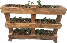 Palet Macetero R�stico vac�o Artesanal