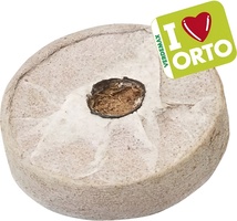 Pack 12 Semillero de fibra de coco con Tela � mm 45 xh 15