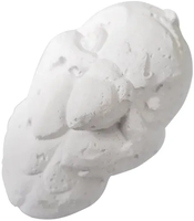 Bloque de Calcio para Loros