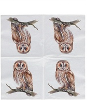 Servilletas Papel Buho 33x33 cm