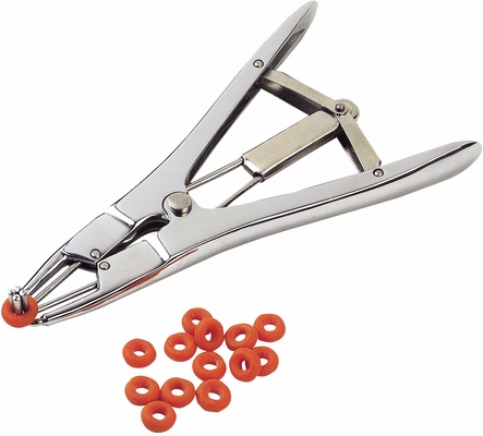 Aplicador Gomas Caucho Corderos Aplicador Gomas Caucho Corderos