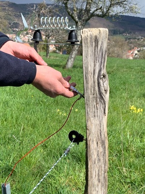 Pararrayos Pastor electrico